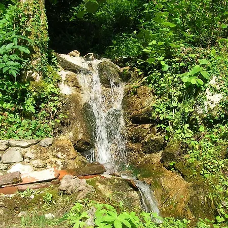 Il Boscaccio 