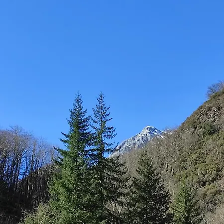 Il Boscaccio 
