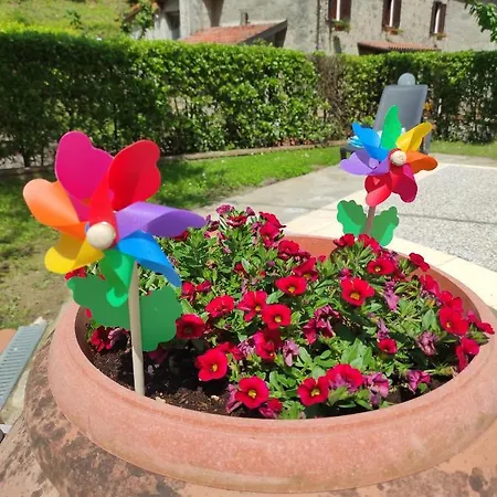 Il Boscaccio 