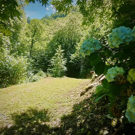 Il Boscaccio 