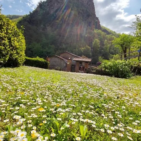 Il Boscaccio 